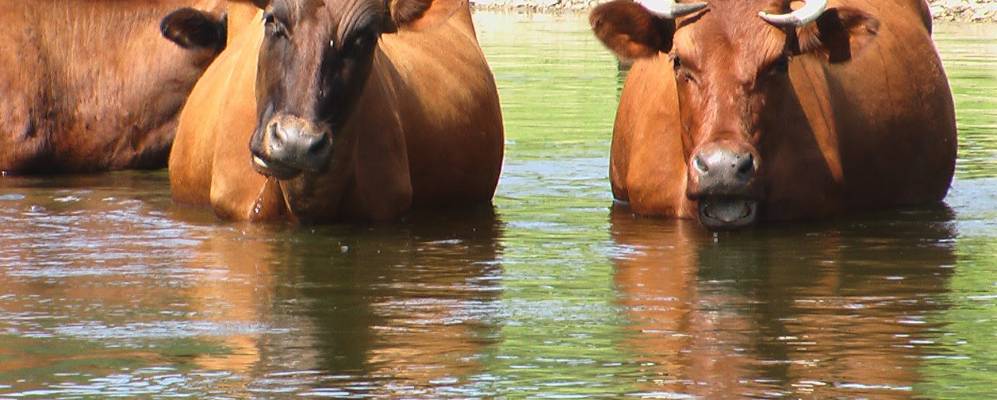 Фотография Усть-Иргино