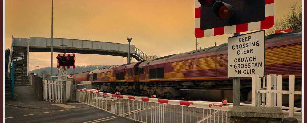 
            Фотография Пенкоеда