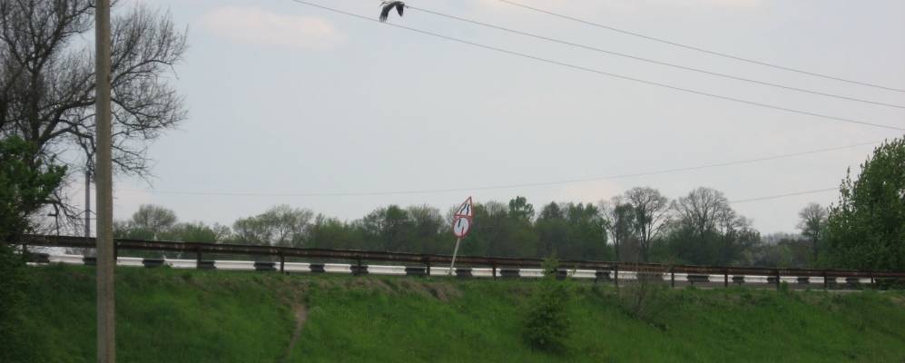 
            Фотография Никольского