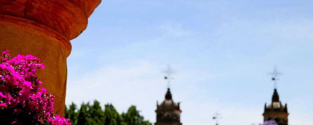 
            Фотография Канада де Негроса