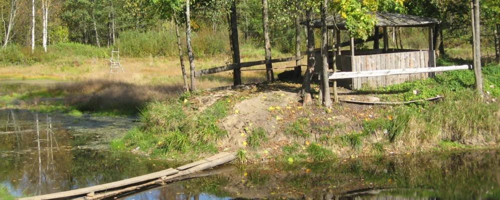 
            Фотография Лесничества Баскаковского