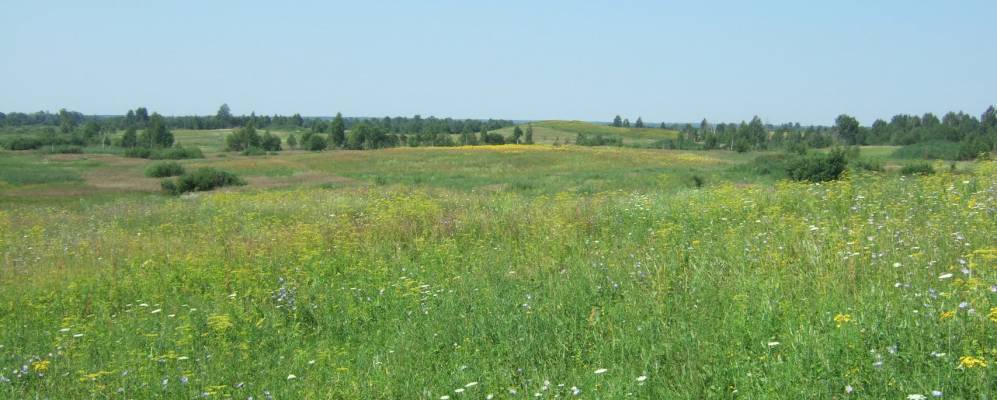 
            Фотография Тряпино