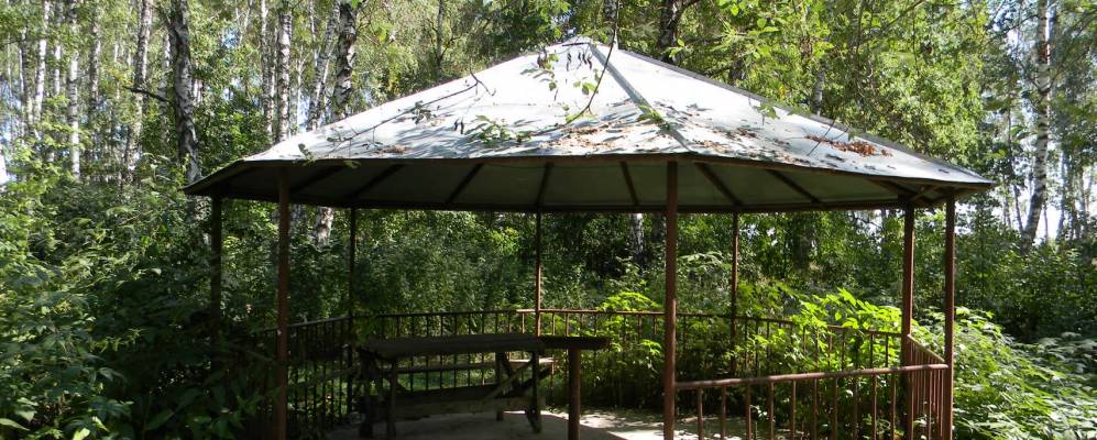 
            Фотография Вязовки