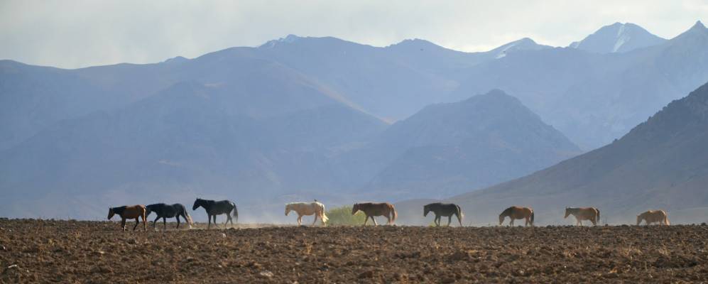 Фотография Керегетаса