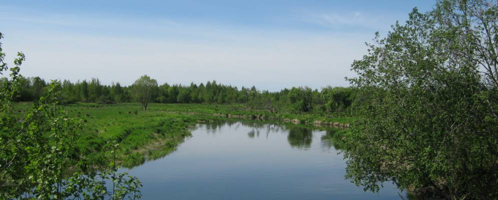 
            Фотография Веккелево