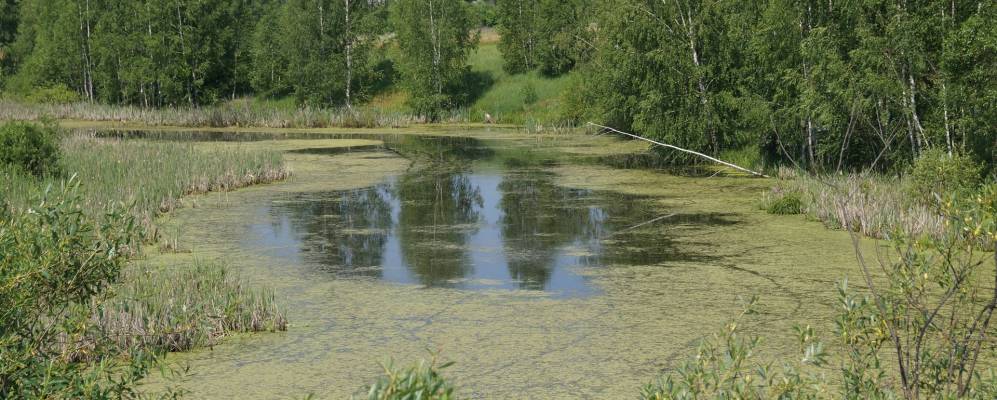 
            Фотография Некрасовки