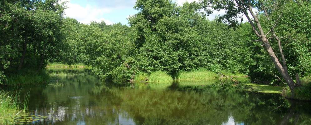 
            Фотография деревни Просье