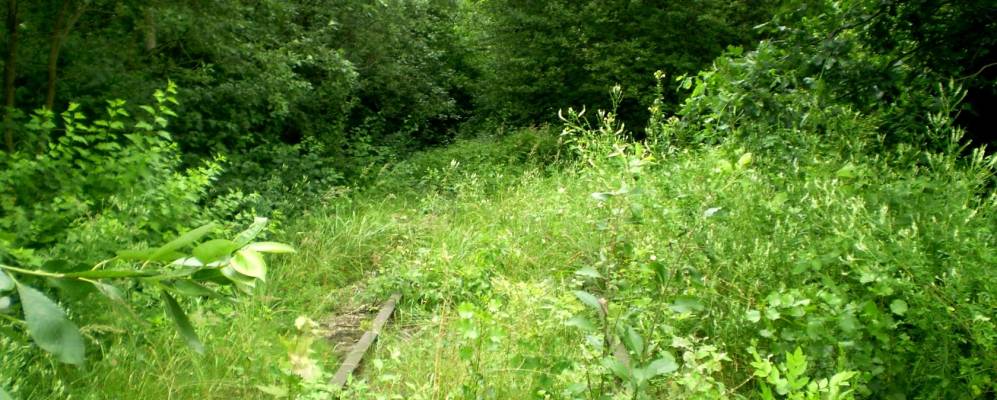 
            Фотография деревни Нехолсты