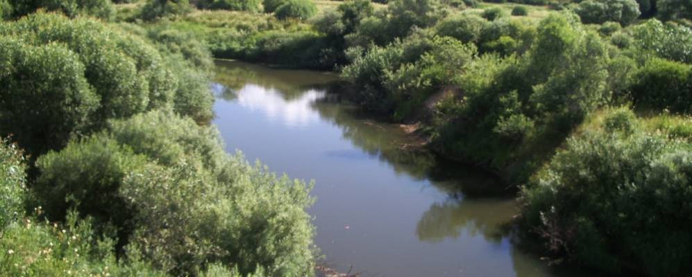 
            Фотография Липовской