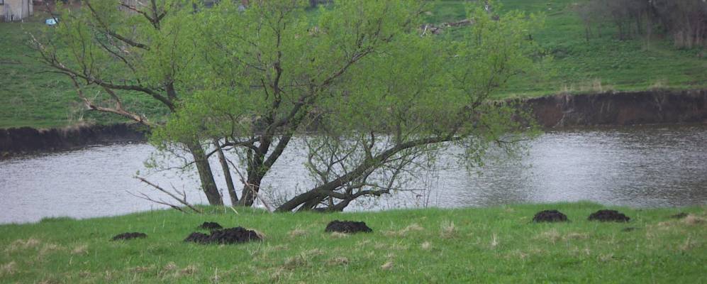 
            Фотография Овчуха