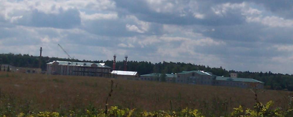 
            Фотография Нельши