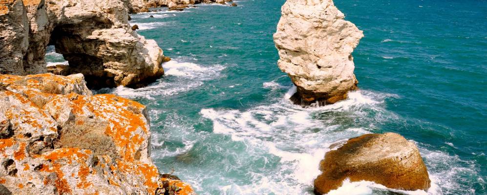 Фотография Тюленово