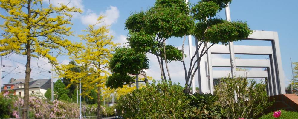 
            Фотография Бельво