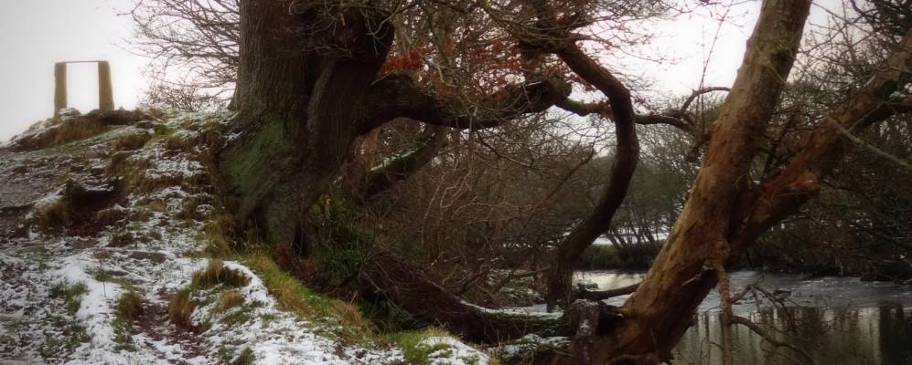 
            Фотография Эгремонта