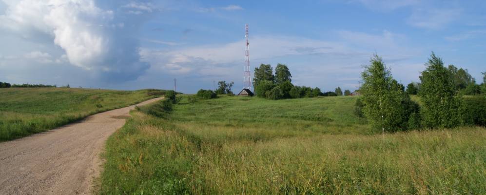 
            Фотография Лосни