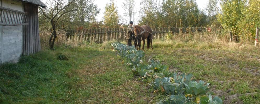 
            Фотография Яблоновки