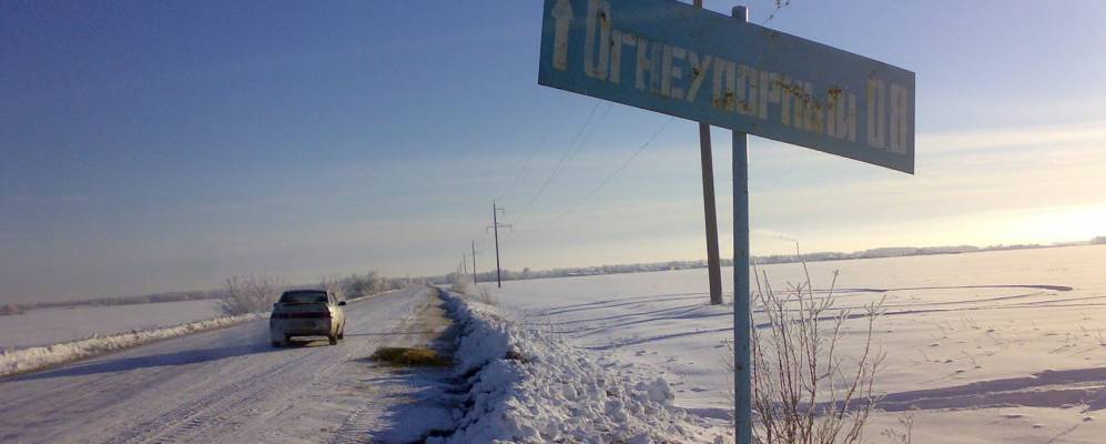 
            Фотография Логового