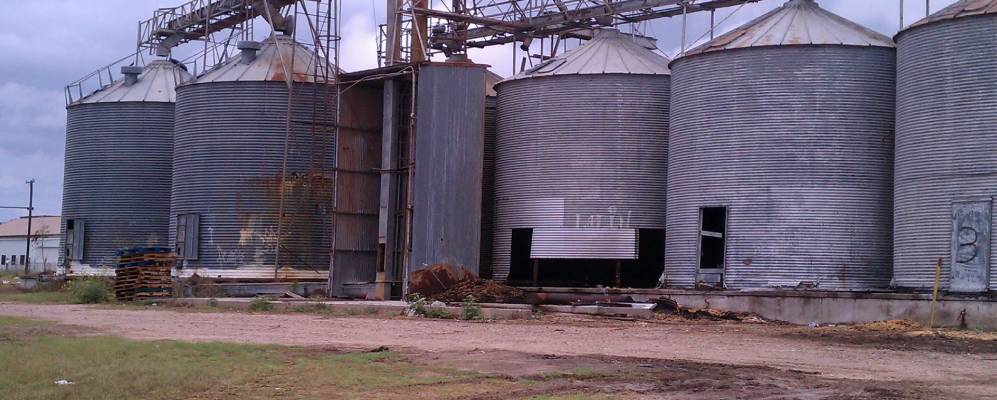 
            Фотография Эльзы