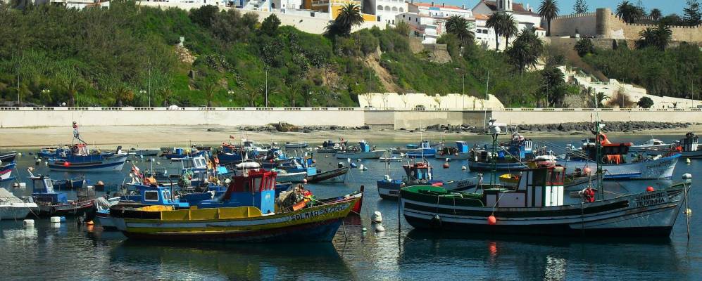 
            Фотография Синеша