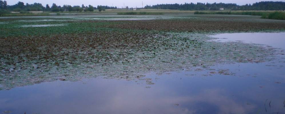 
            Фотография Леоновки