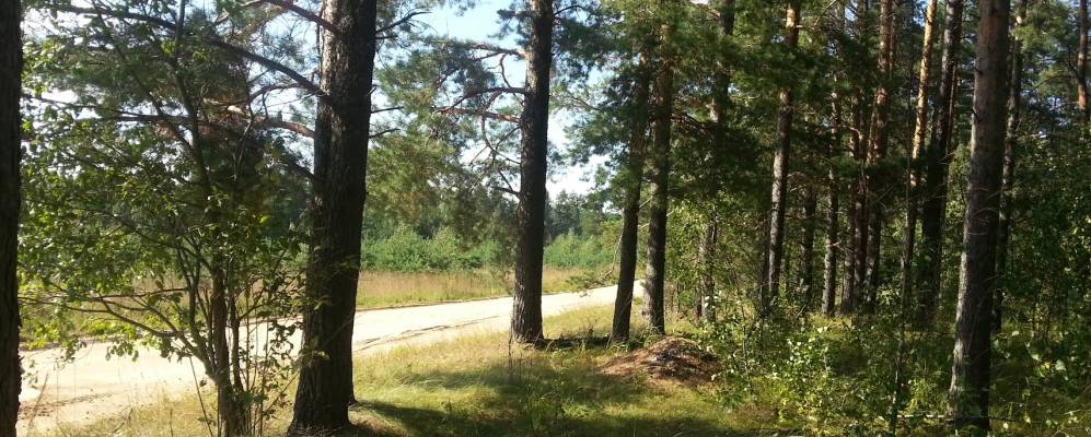 Фотография Цилино