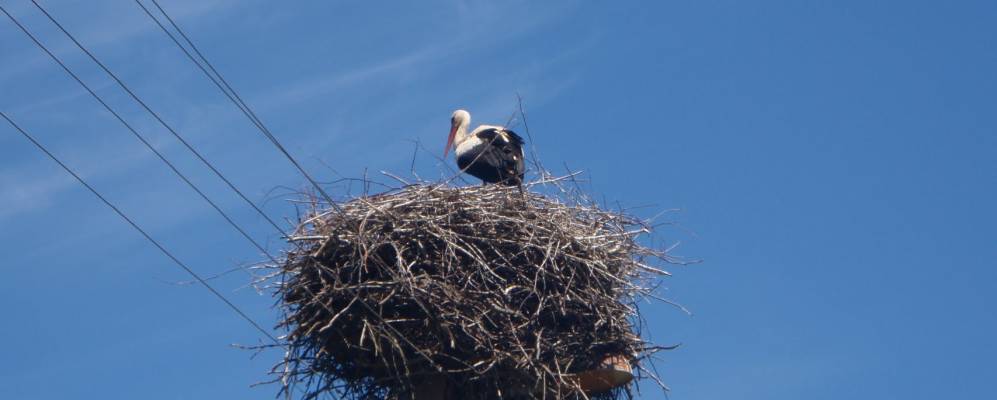 
            Фотография Дретено