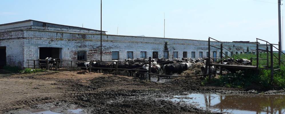 
            Фотография Новопавловки