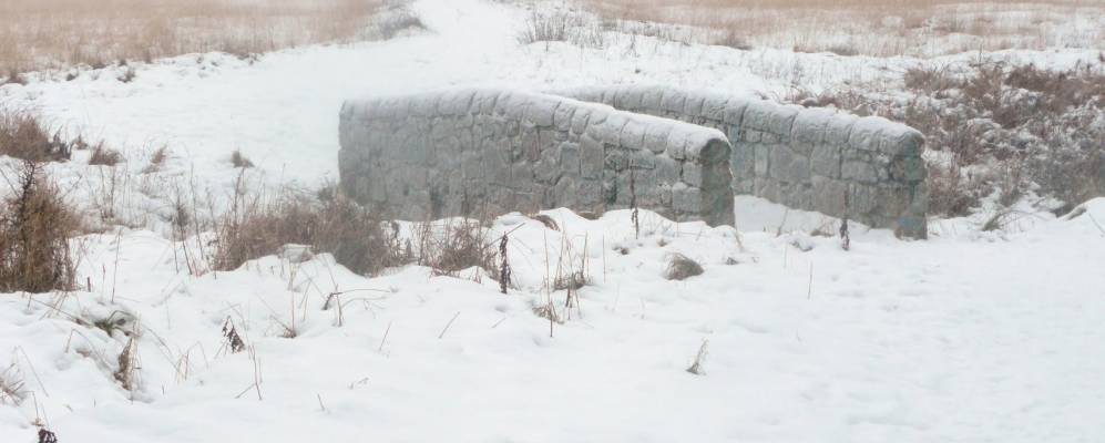 
            Фотография Степпса