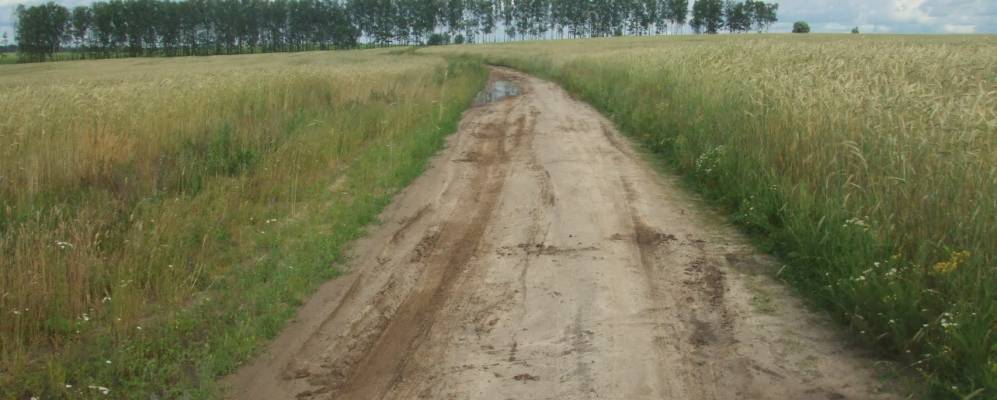 
            Фотография Нетеши