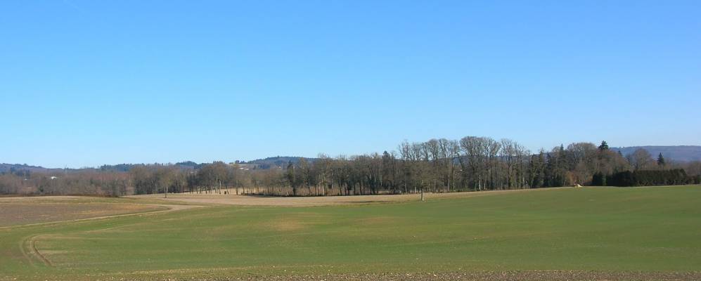 
            Фотография Бомон-ле-Мине