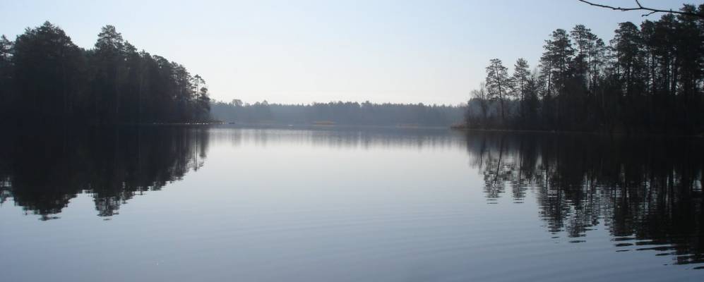 Фотография Шишово