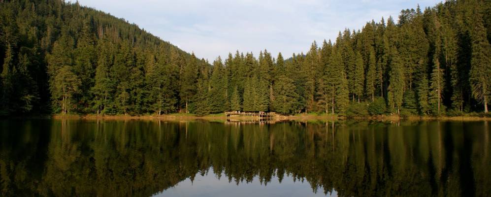 
            Фотография Белозориной