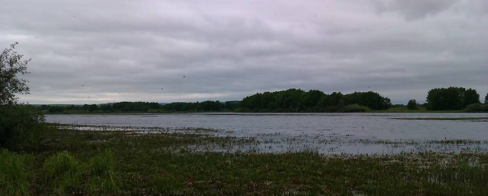 
            Фотография Черенги