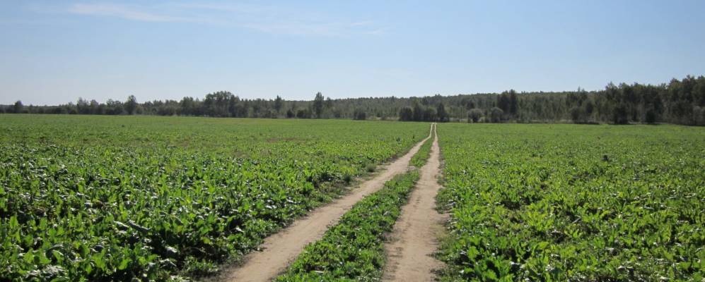 Фотография Роженской Горы