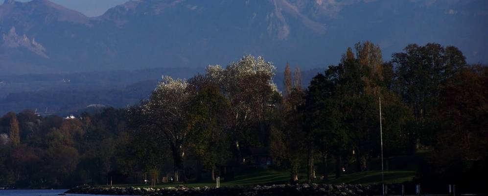 
            Фотография Сье