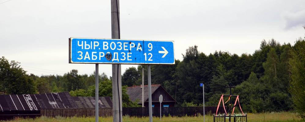 
            Фотография Забродья