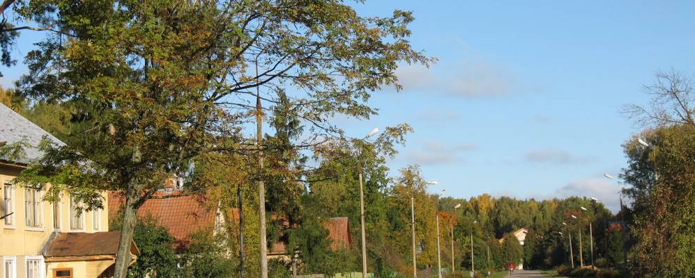 
            Фотография деревни Большие Заломы