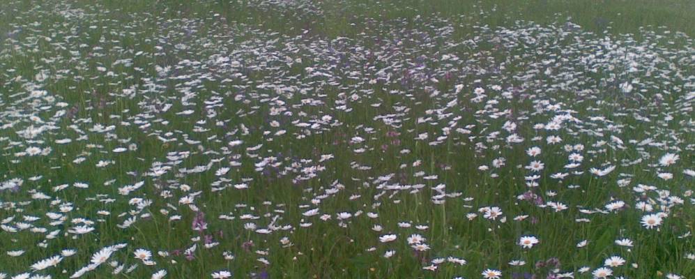 
            Фотография Припущаево