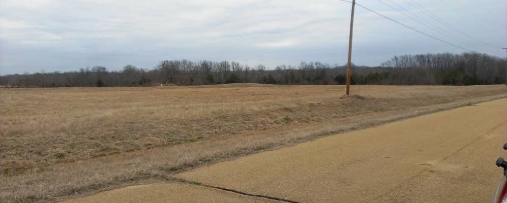 
            Фотография Виноны