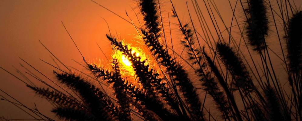 
            Фотография Исламорады