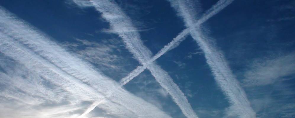 
            Фотография Белпера