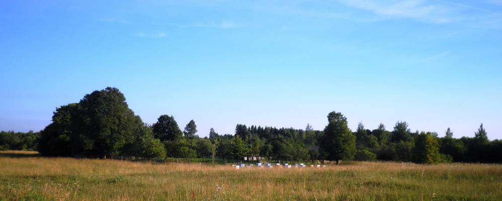 Фотография Ямино