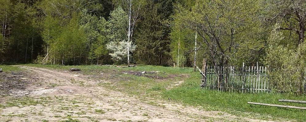 
            Фотография Погулянки