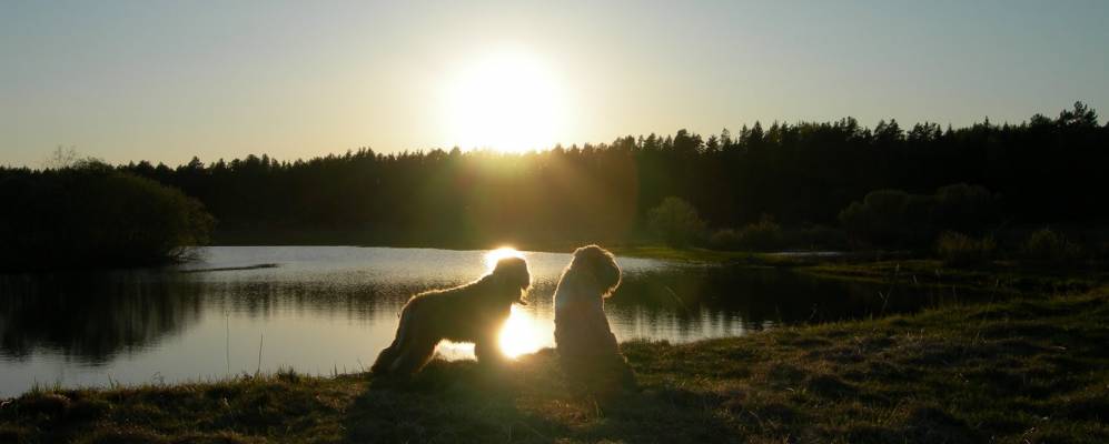 
            Фотография Ореховно