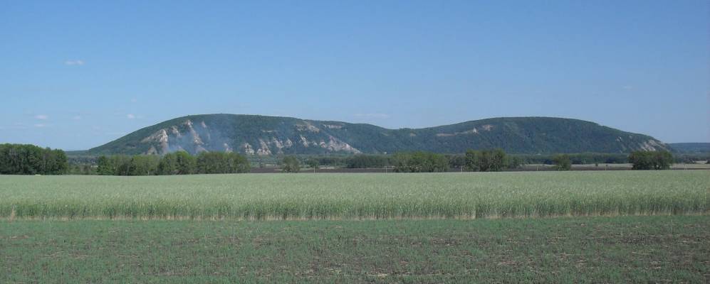 
            Фотография Косяковки