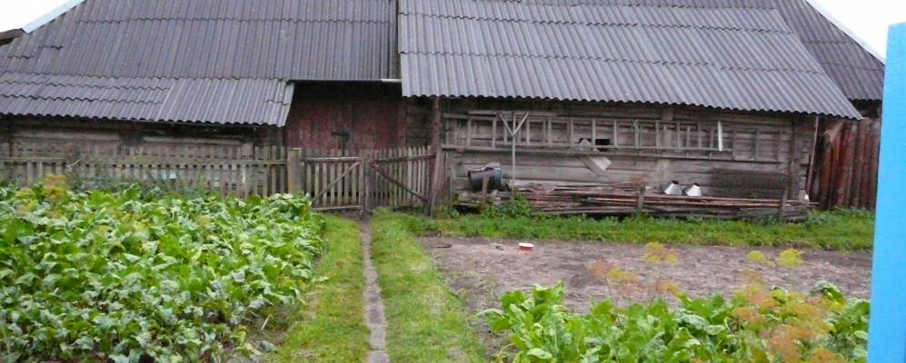 Фотография деревни Домути