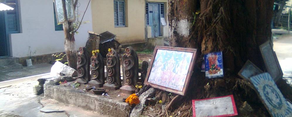 
            Фотография Чаннараяпатны