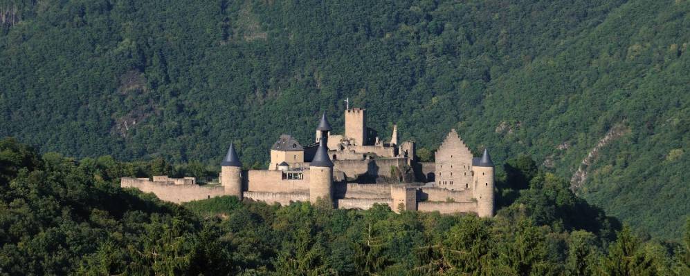 
            Фотография Велшида