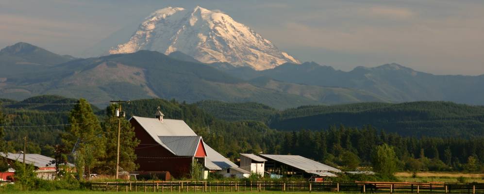 
            Фотография Энамклоу