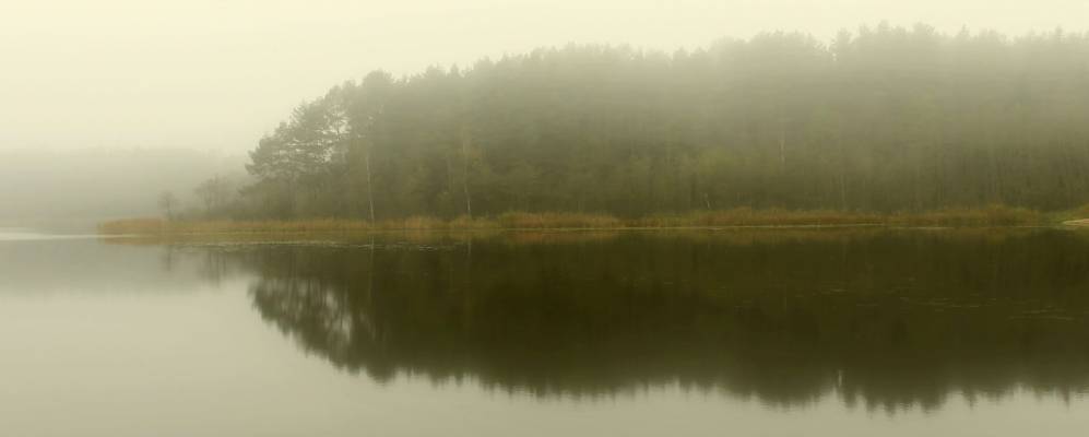 
            Фотография Гуты